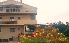 Apartments And Rooms Ognjen - Family Apartments With Free Parking